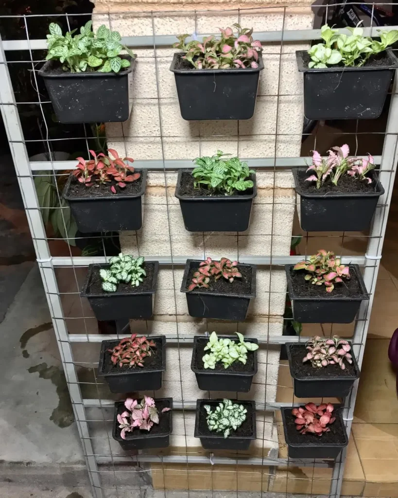 plastic pocket planter