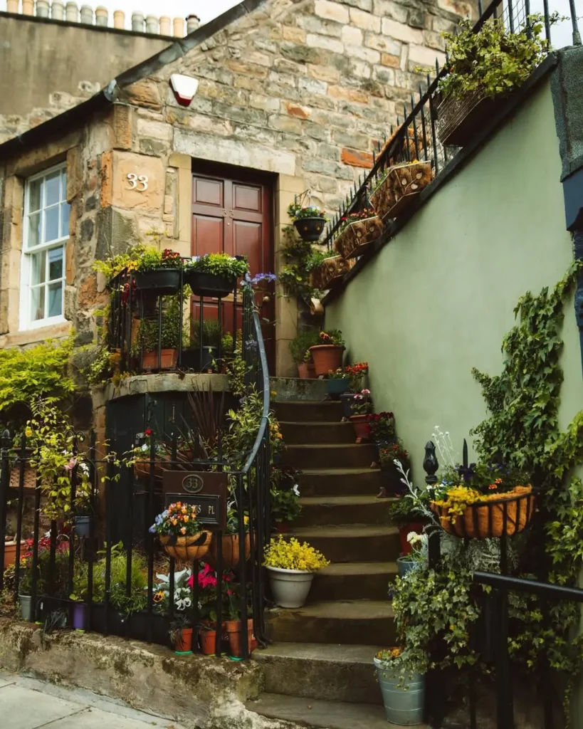 Seasonal Outdoor Container Gardening Ideas