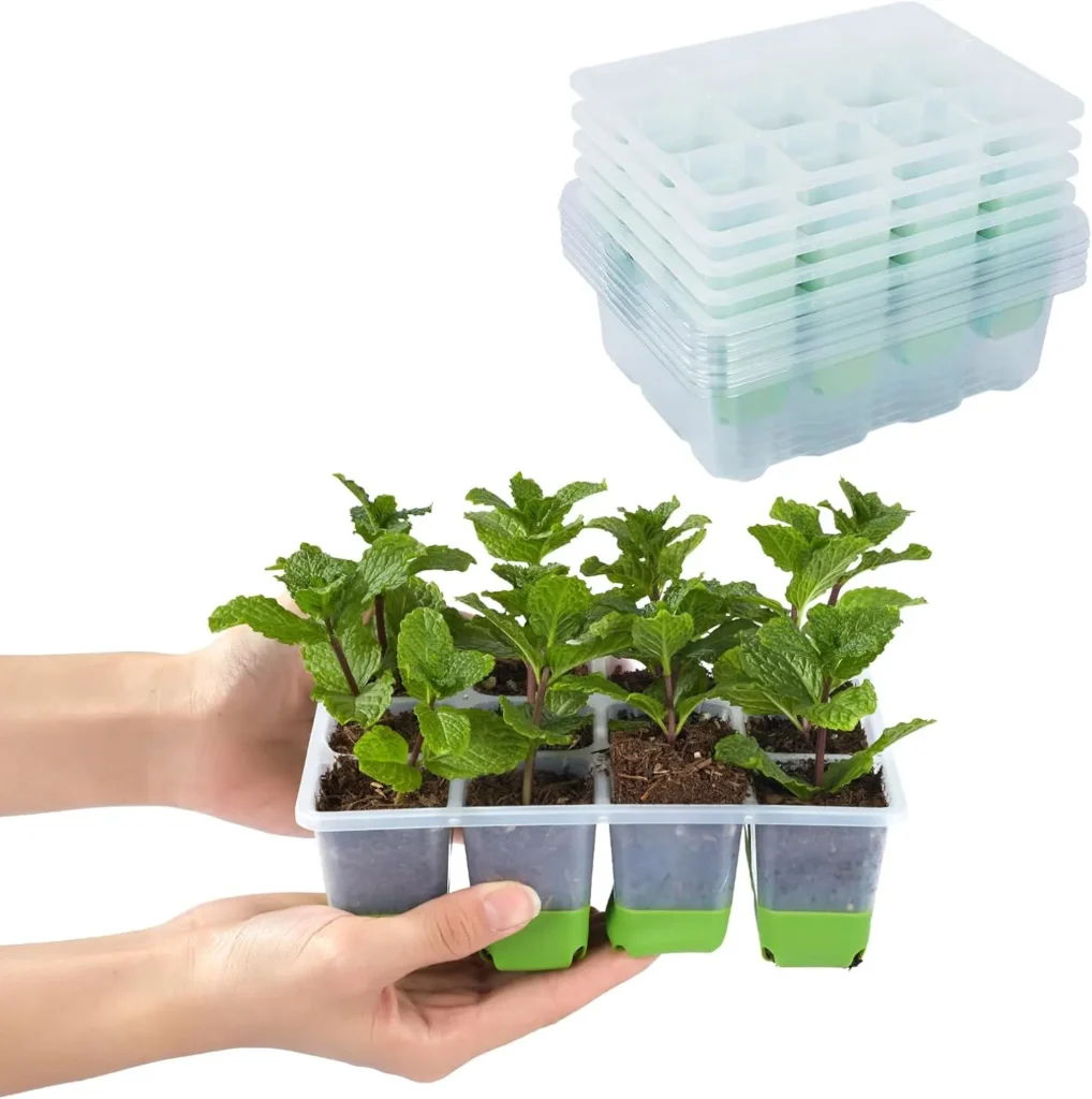 seed tray set for kids