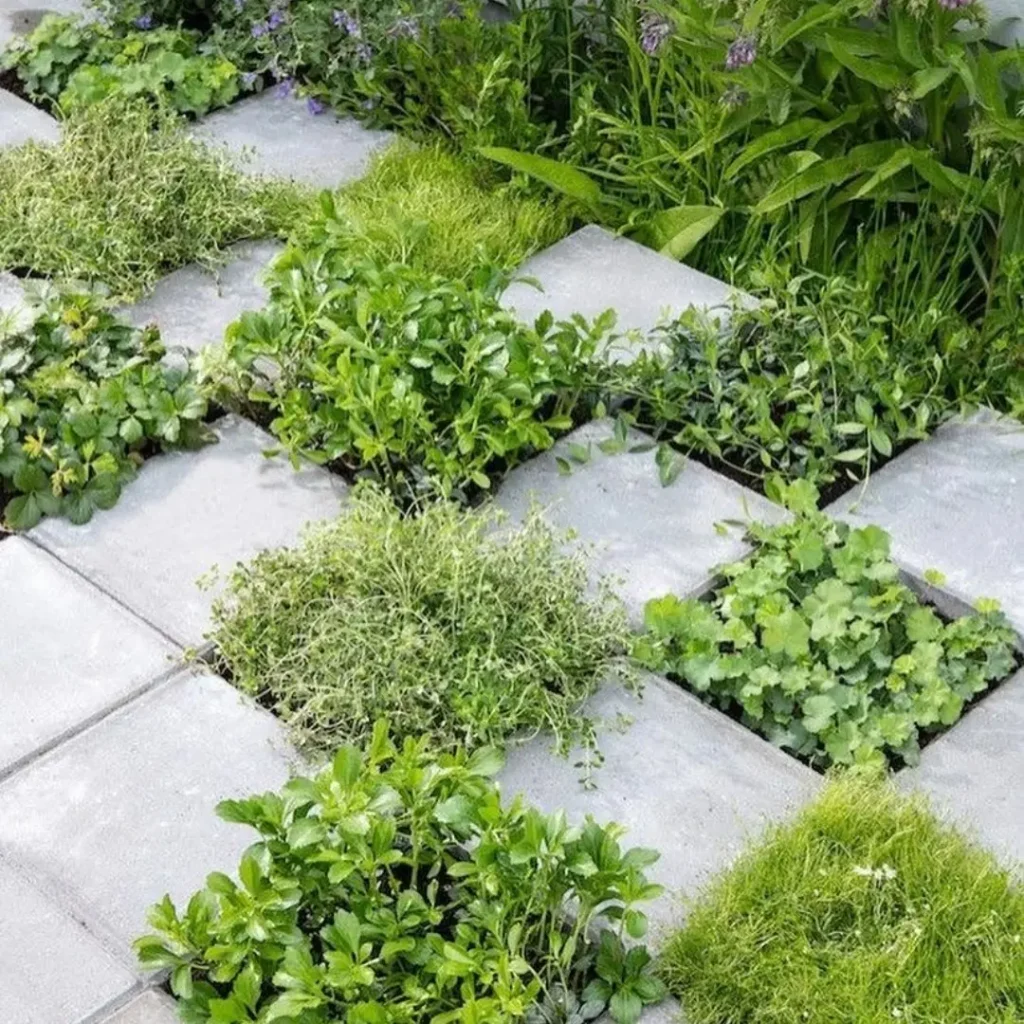 shady spot herb garden outdoor ideas