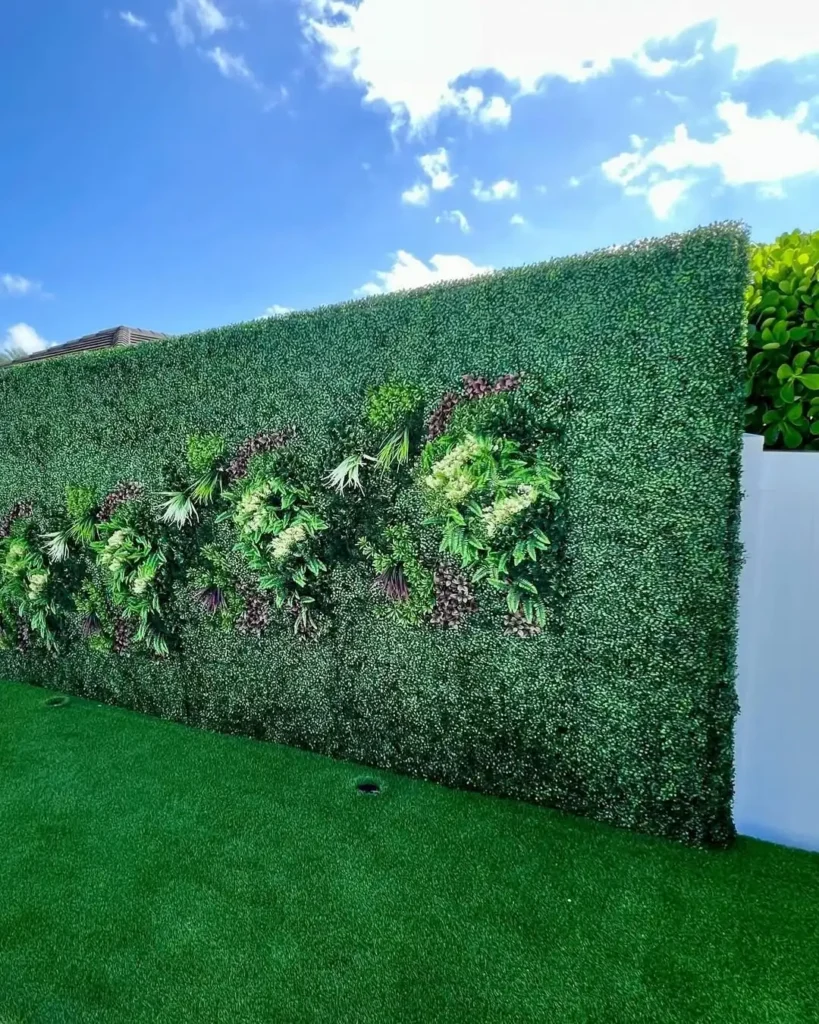 shrub fences for backyards