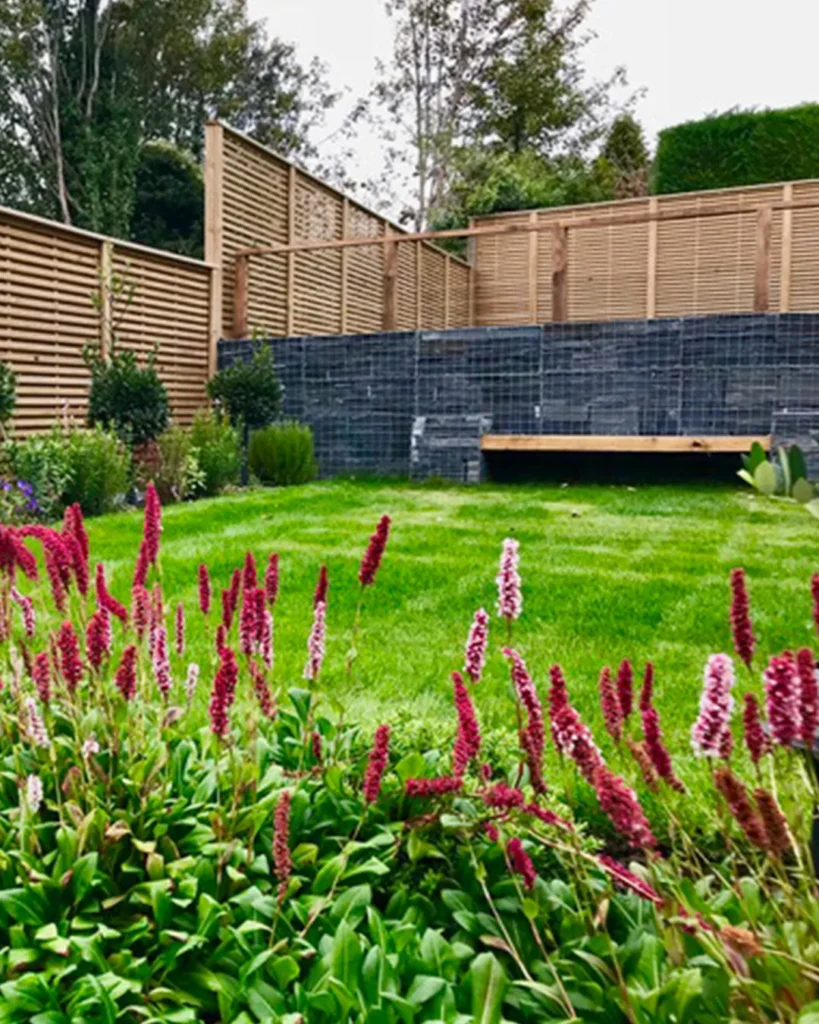 simple plant privacy fences for yards (1)