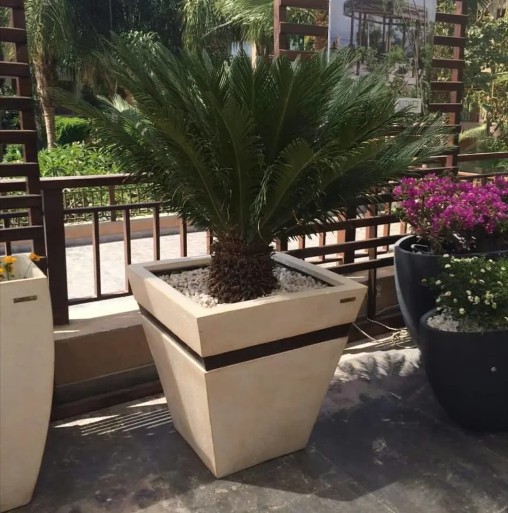 square promo pot sandstone finishing with wood