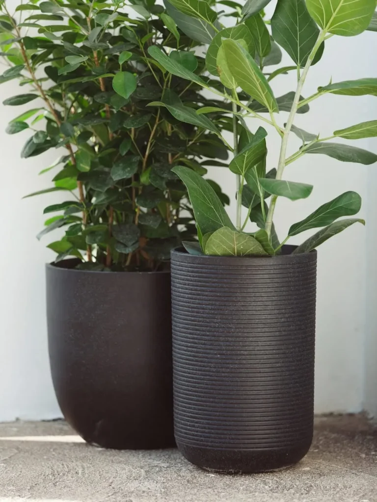 tall, black and brown pot