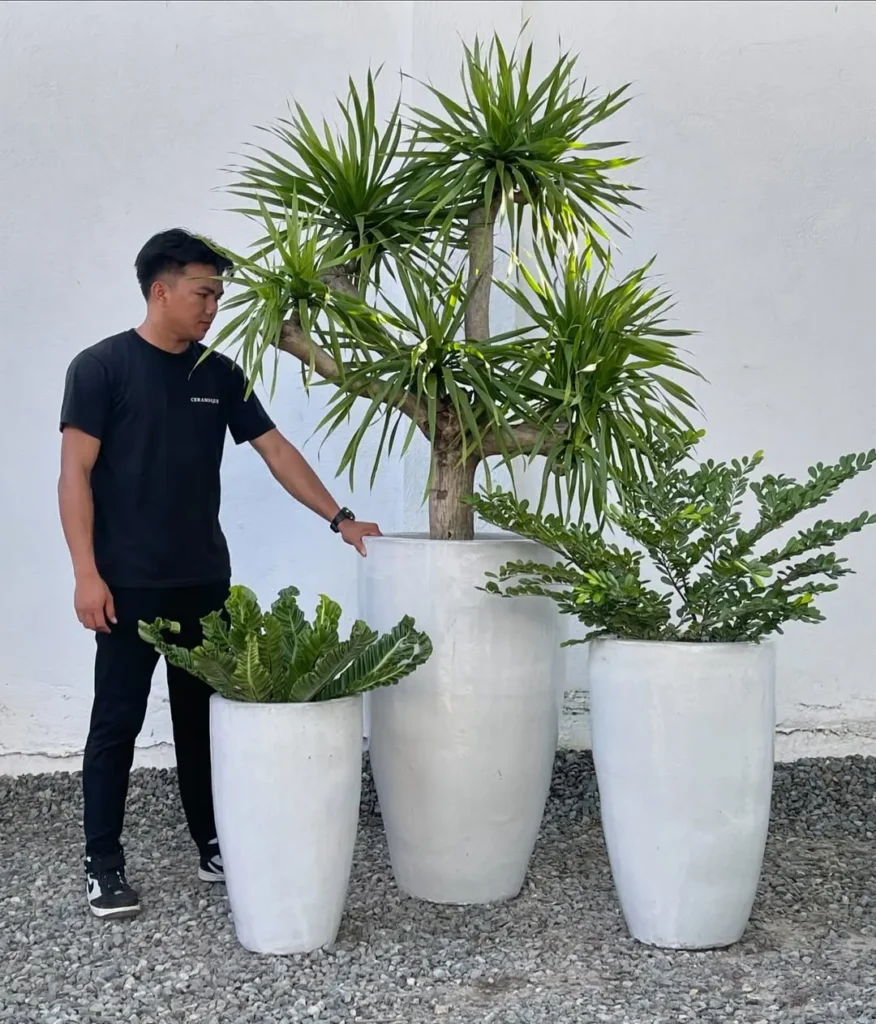 tall white glazed ceramique pot plant