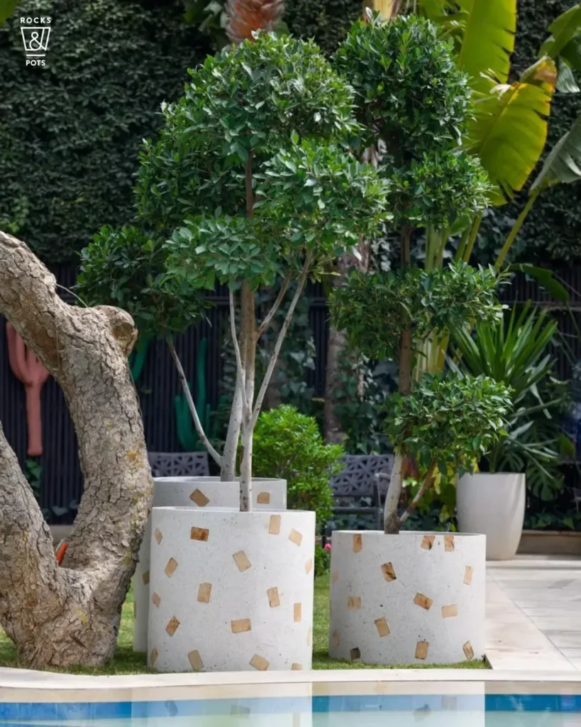 terrace with summer ready pots (1)