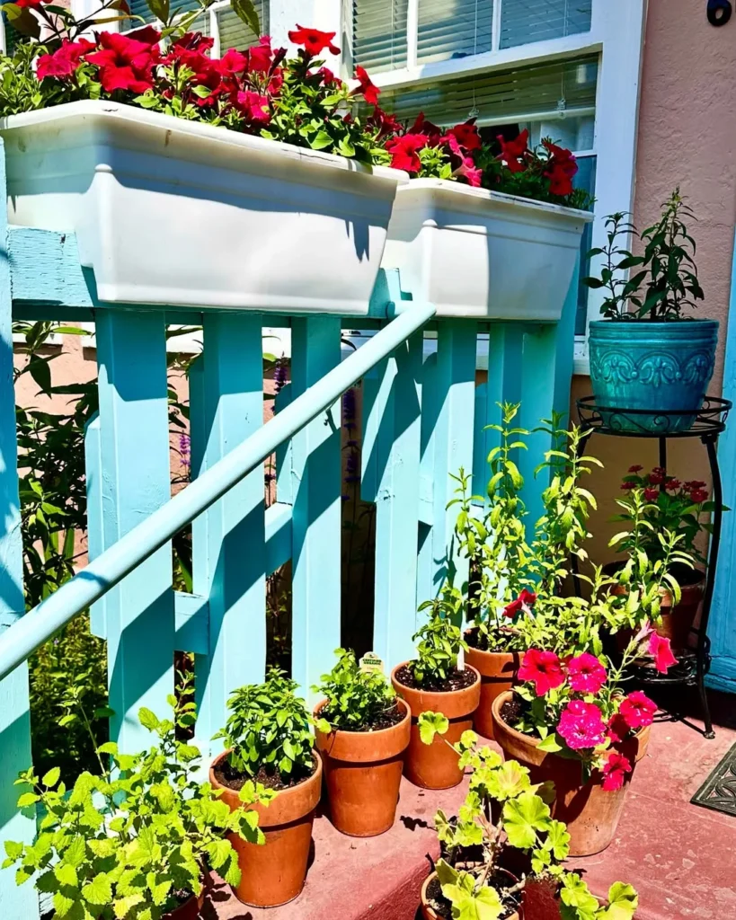 tiny yard herb garden outdoor ideas