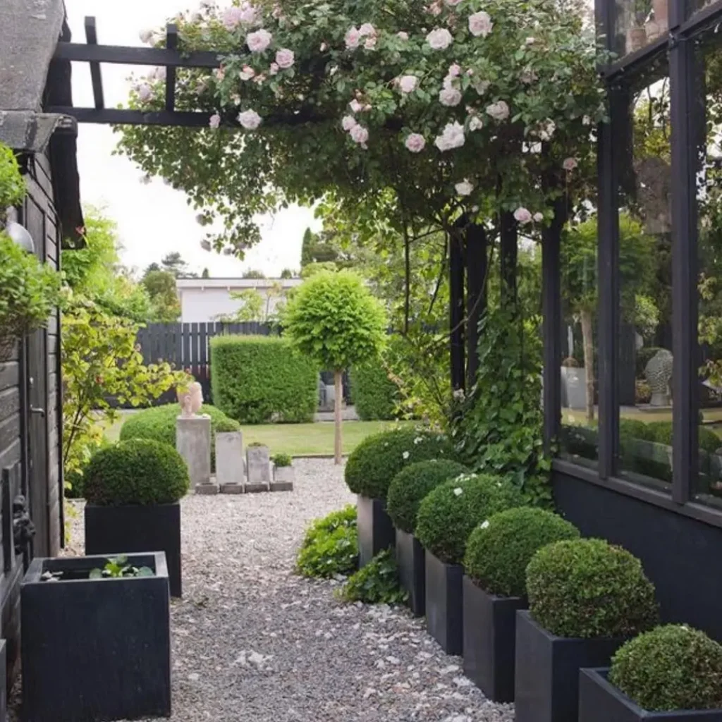 towering outdoor beauties how to style large tall potted plants