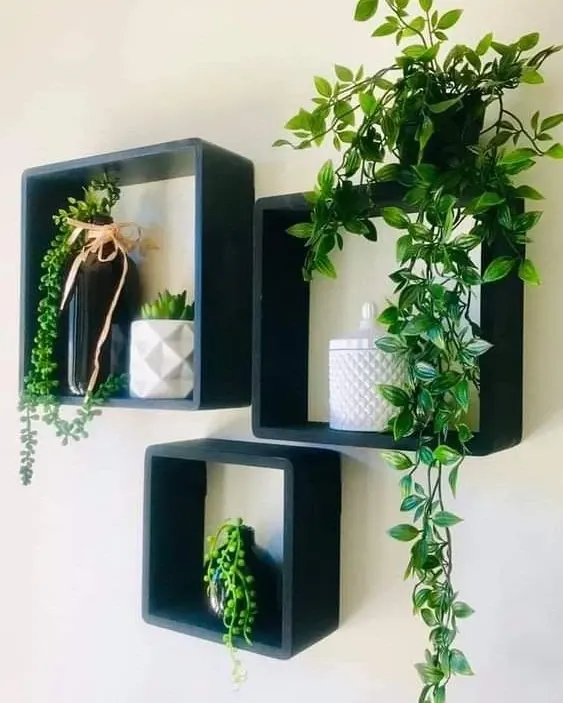 trailing houseplant wall decor