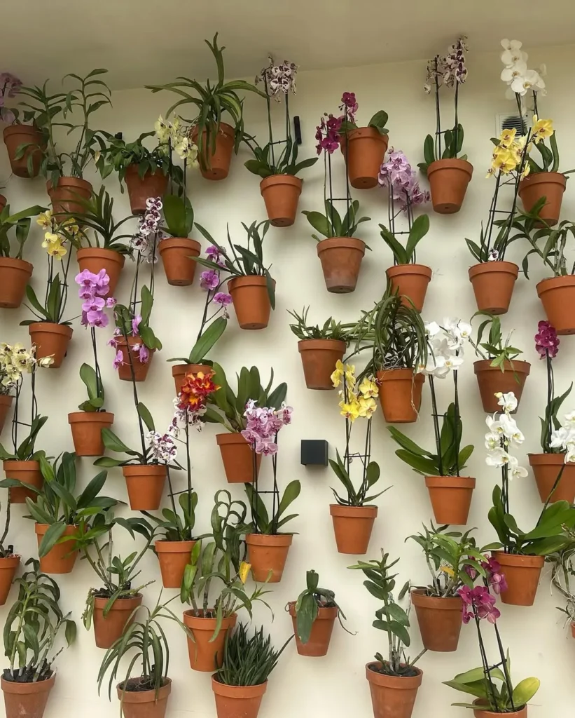vertical orchid wall
