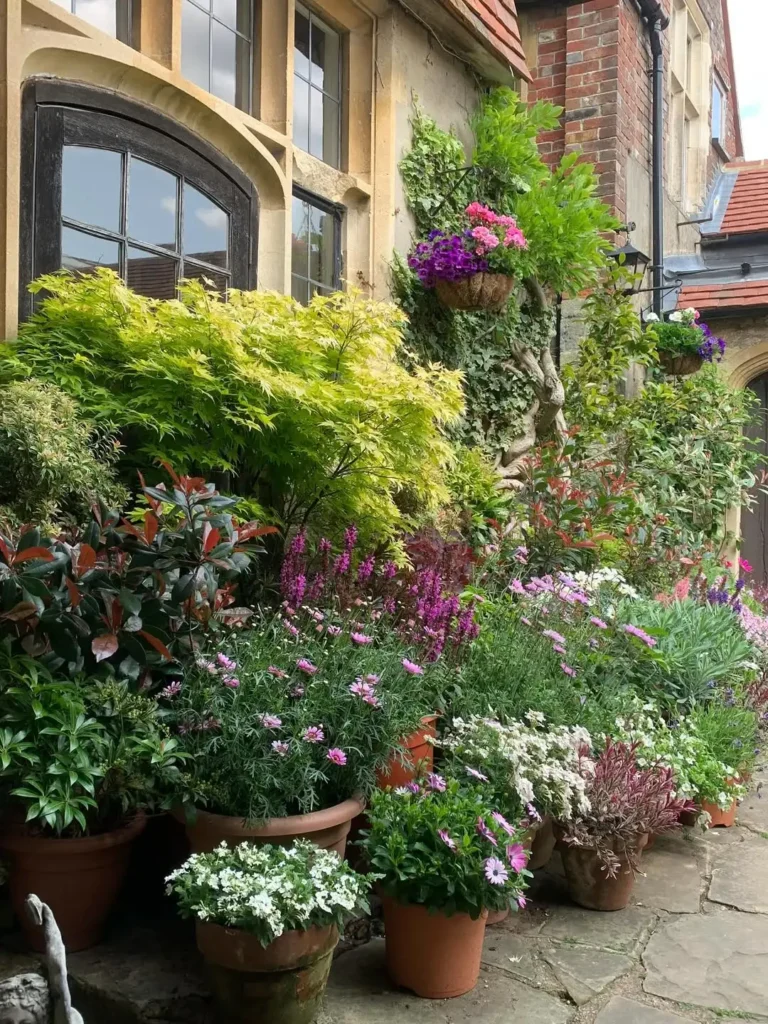 beautiful container flowers gardening