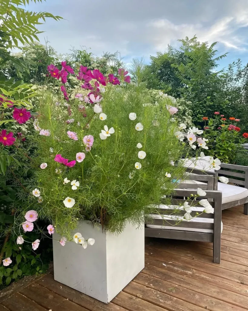 concrete container garden