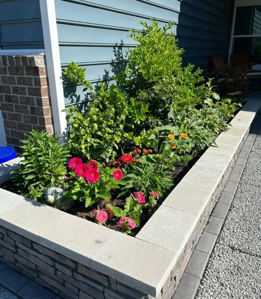 create a beautiful gabion wall