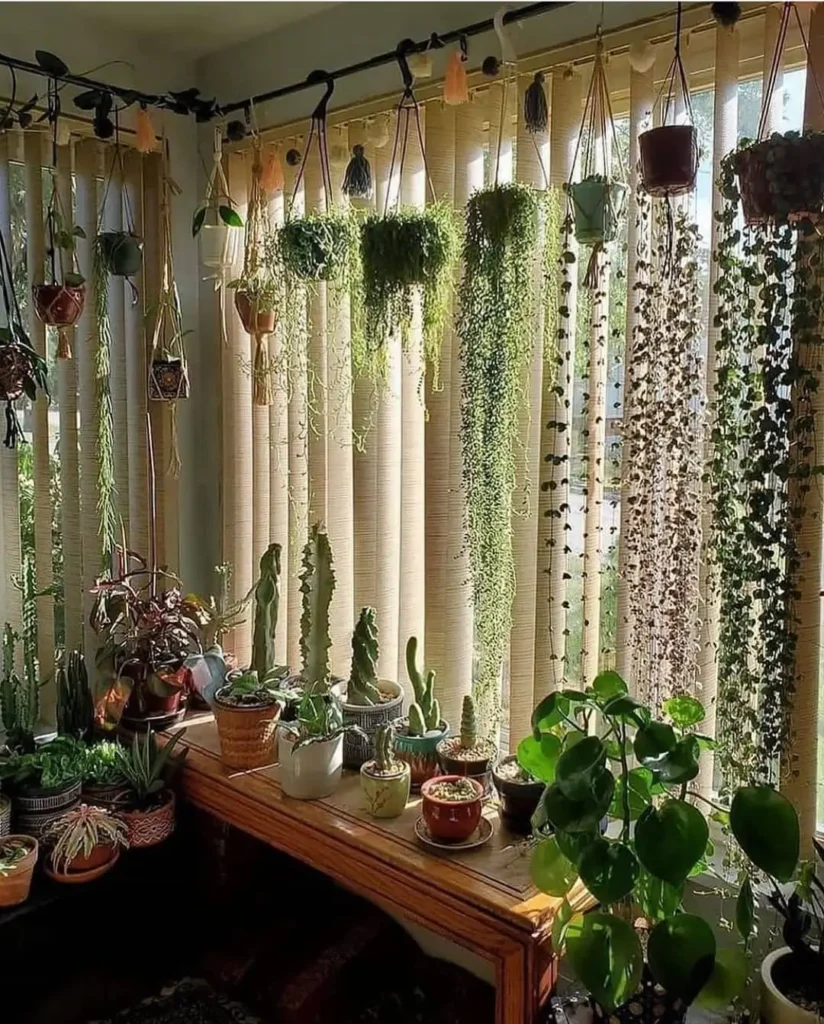 diy indoor garden design with easy plants