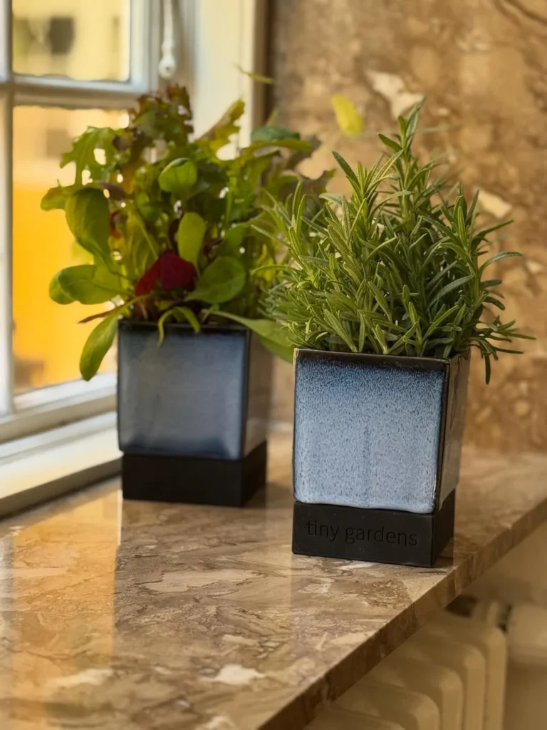 indoor garden design ideas for kitchen herb gardens