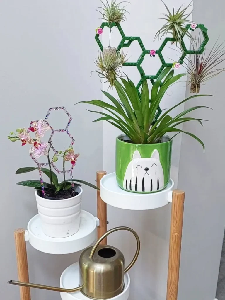 indoor garden design ideas for living rooms