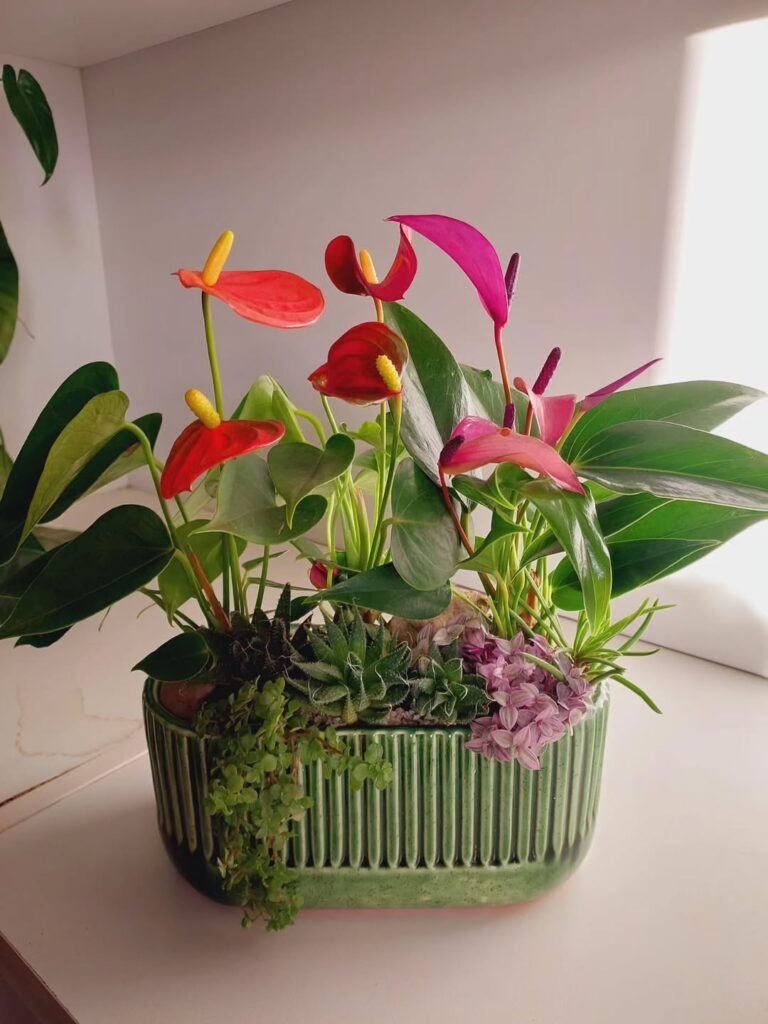 indoor garden design ideas for renters