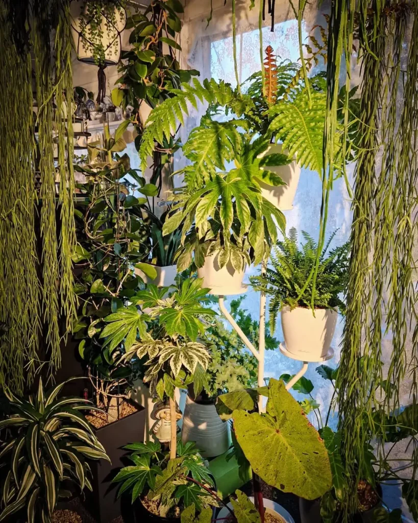 indoor garden design using hanging planters (1)