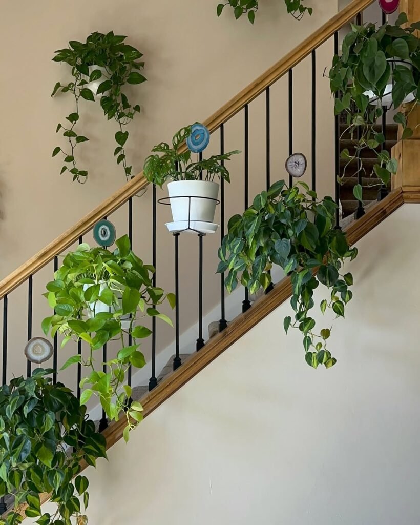 indoor garden design using recycled containers