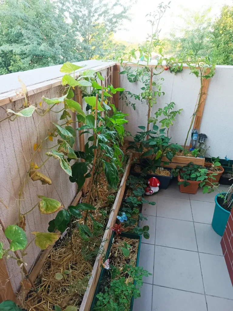 indoor garden design for balcony and windowsills (1)