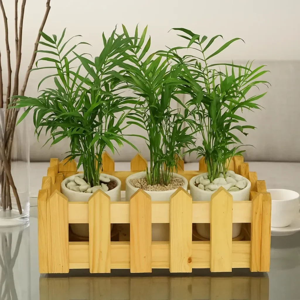 indoor garden design to create a calm retreat (1)