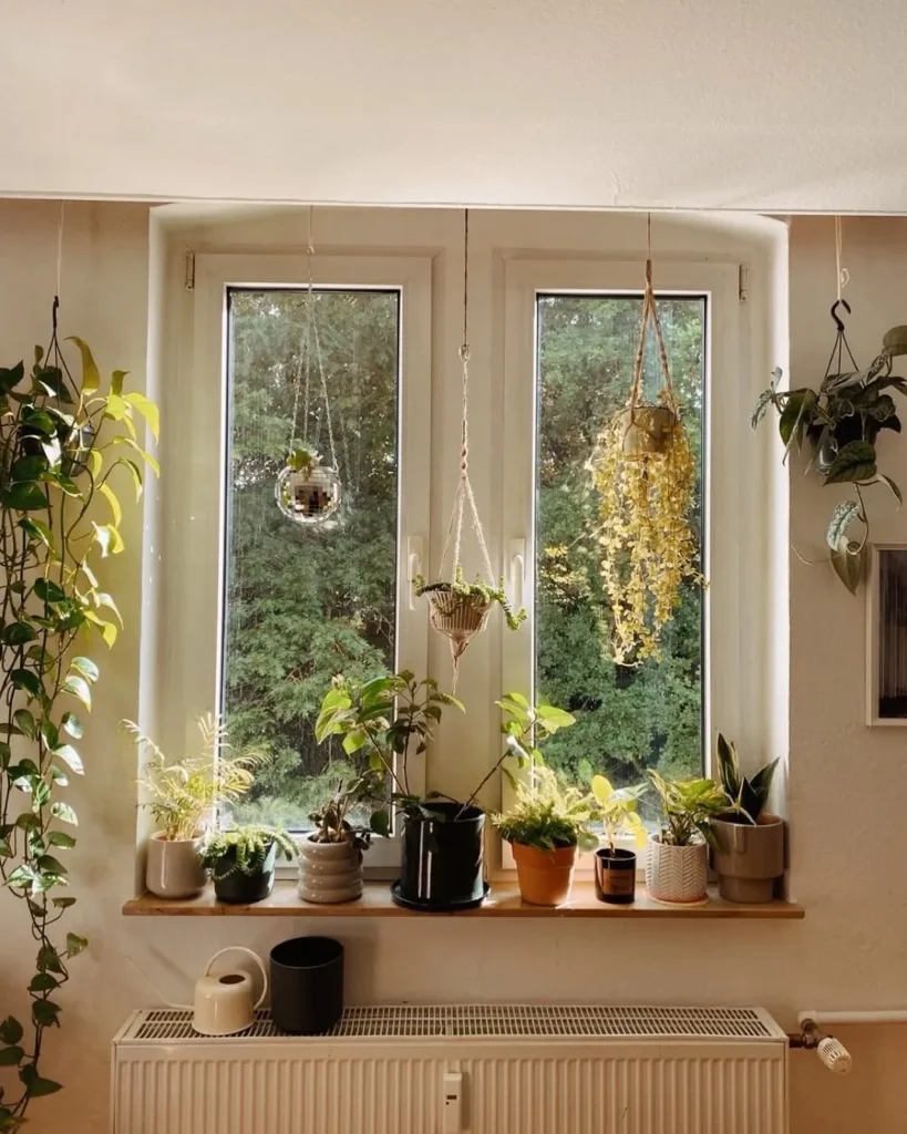 indoor garden design with low maintenance plants