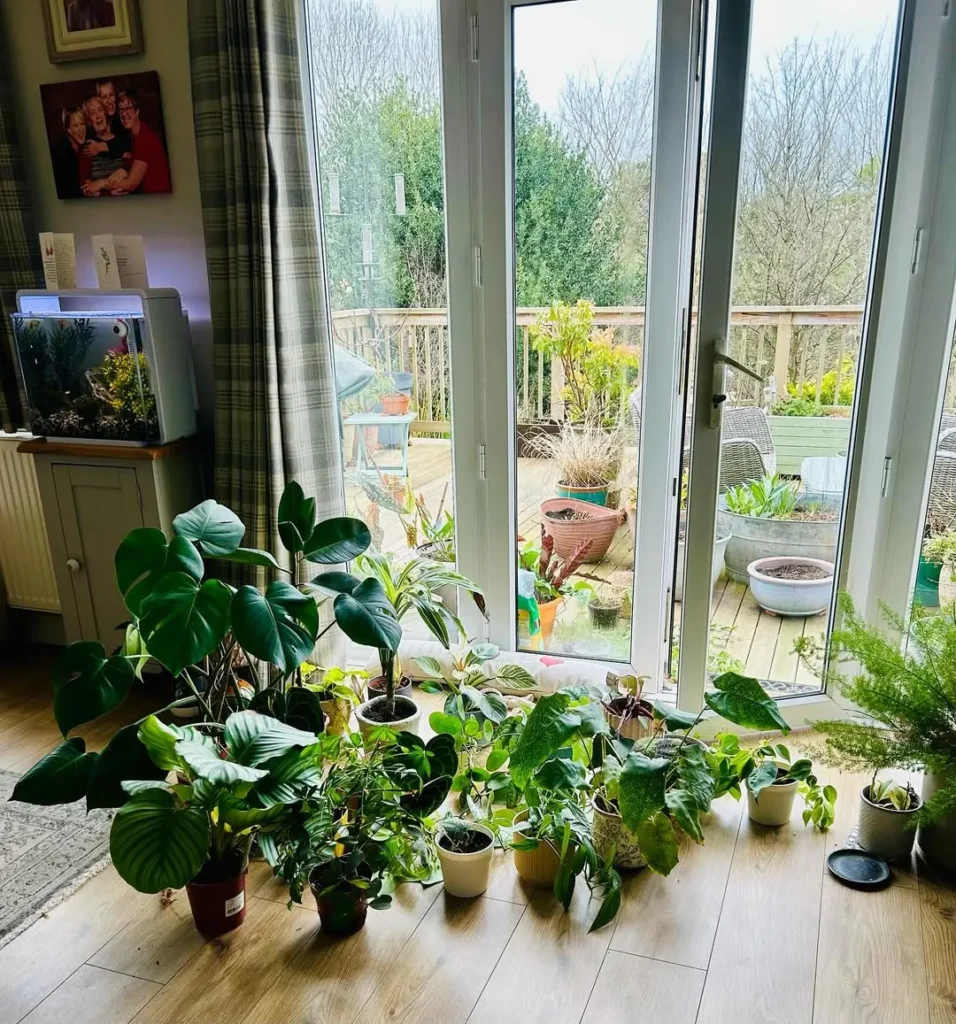 minimalist indoor garden design for clean spaces