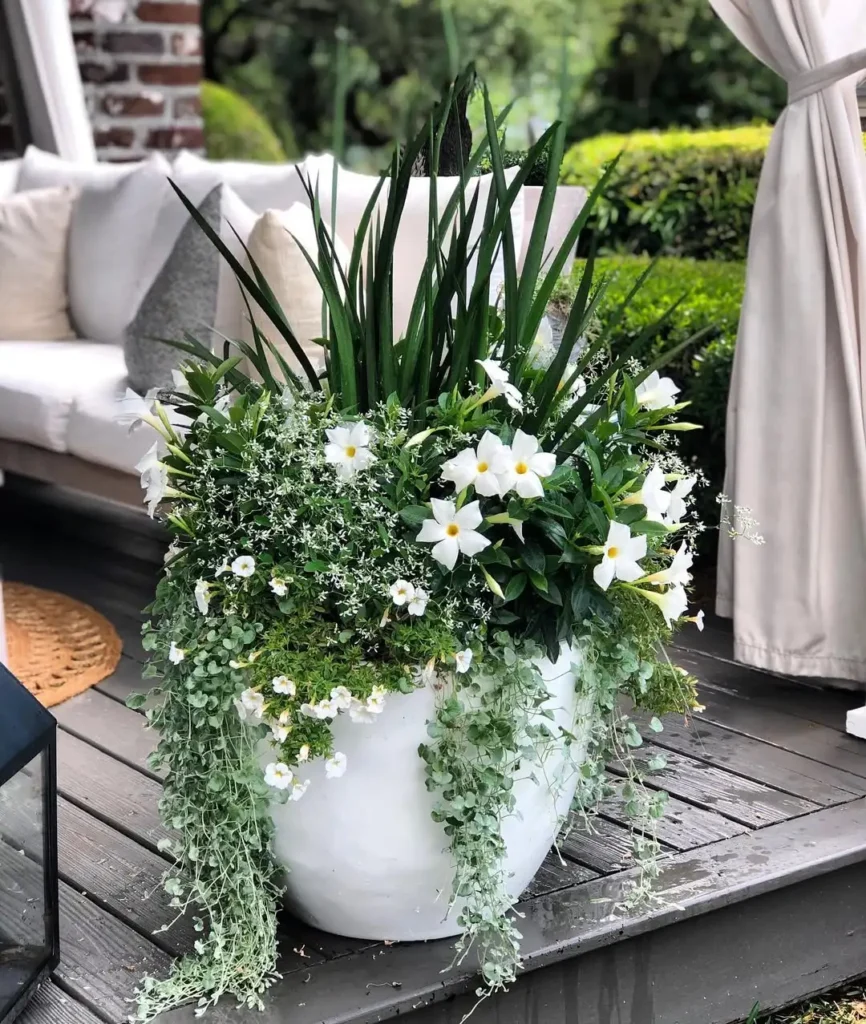 modern white container garden
