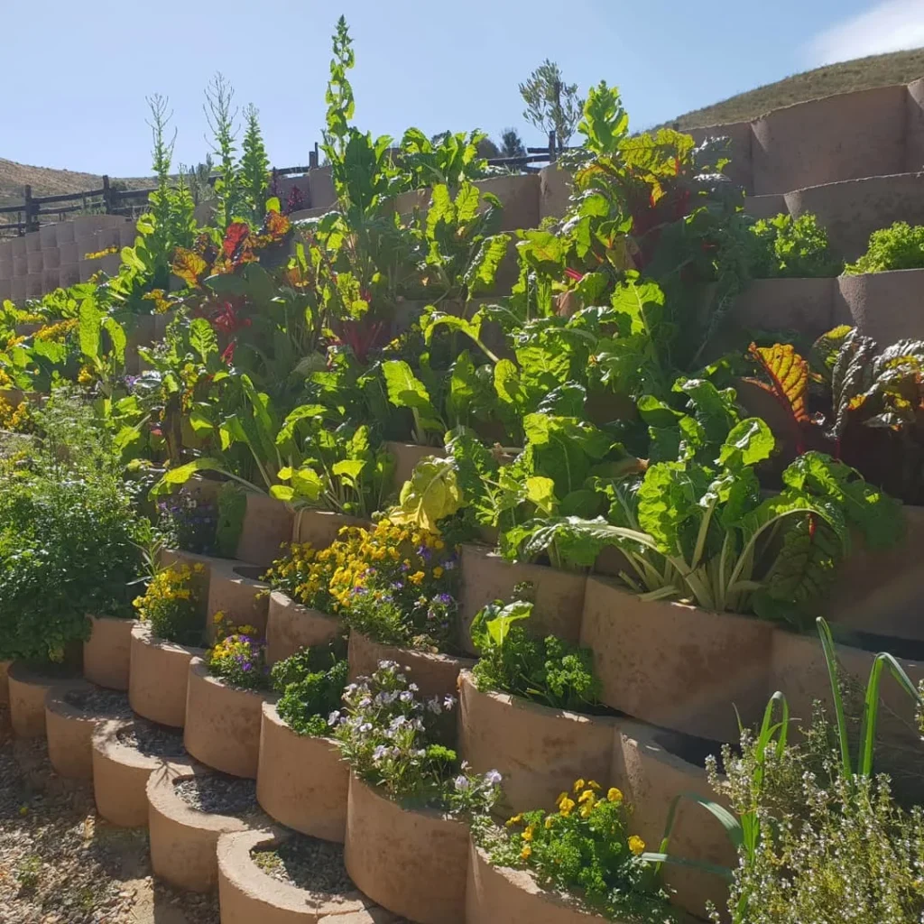 multi level garden retaining walls