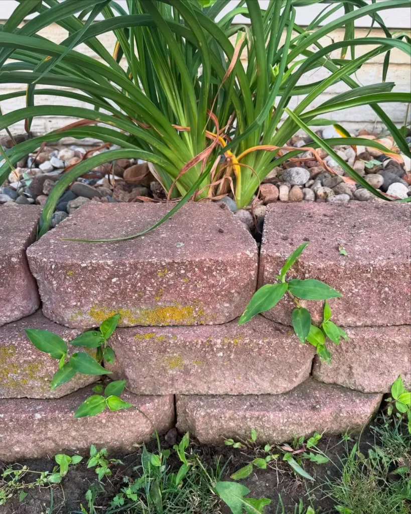 natural stone wall installation guide