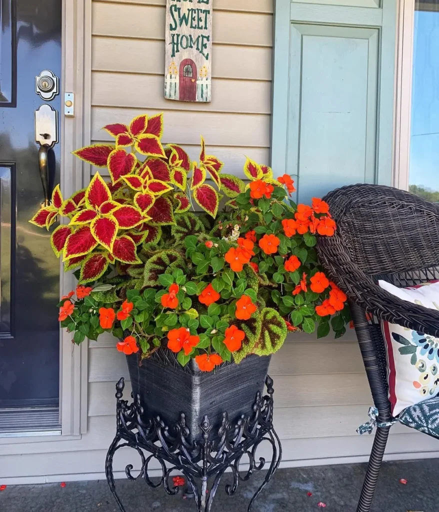 orange container garden