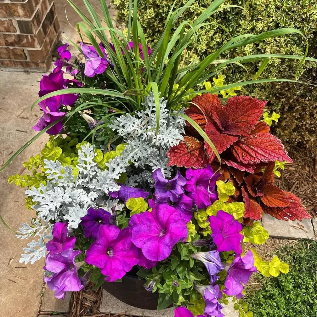 patio container garden