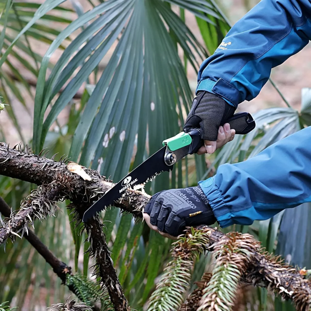 pruning saw