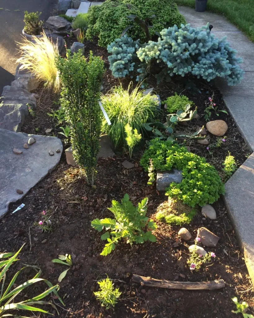 retaining wall planting ideas