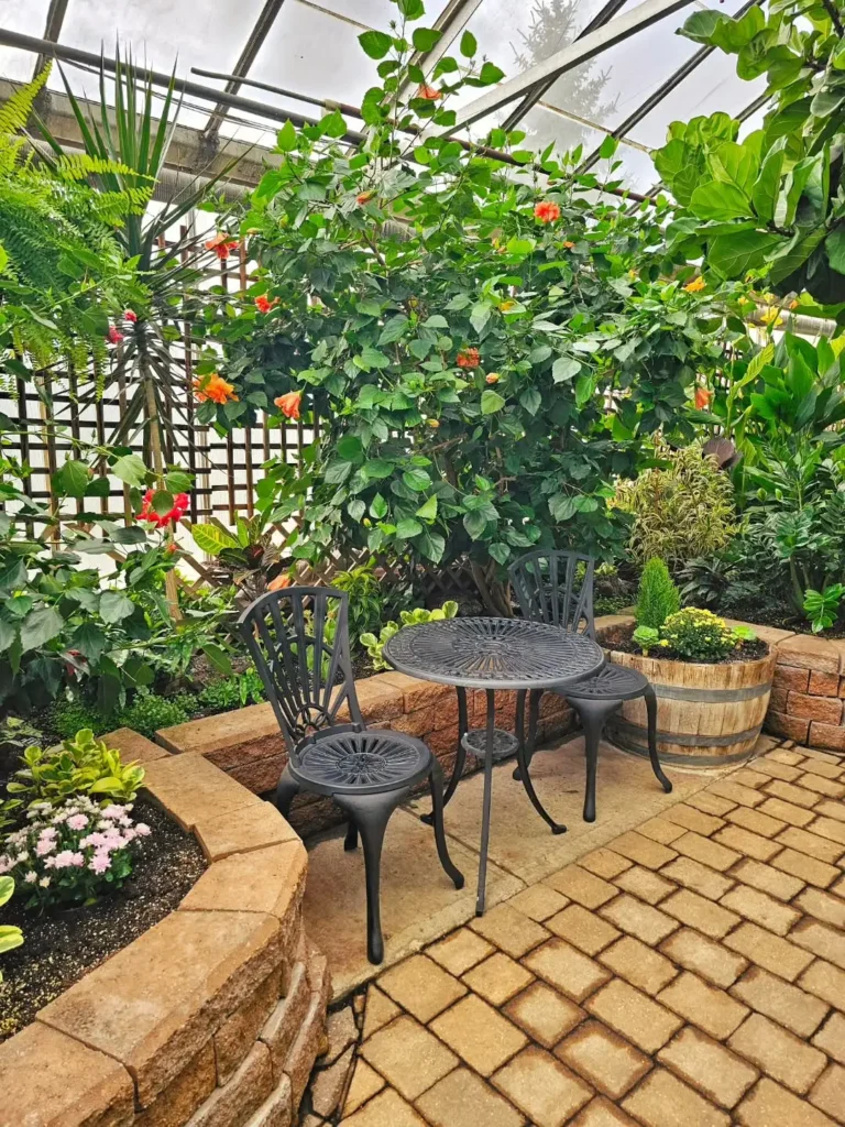 simple indoor garden design for beginners