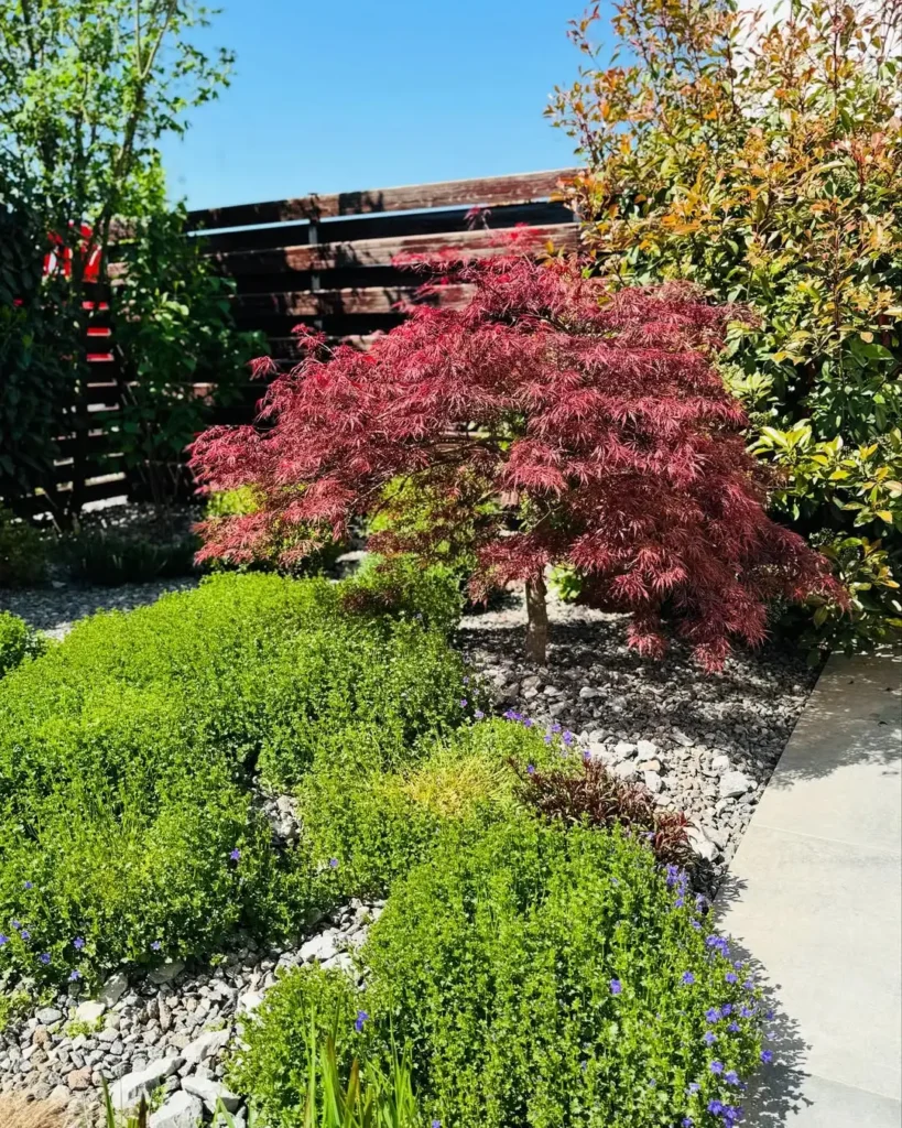 small garden design ideas for beginners