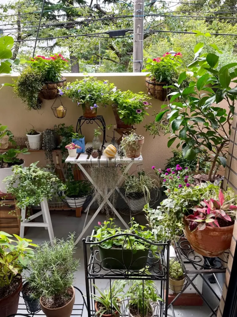 small garden design ideas for patio