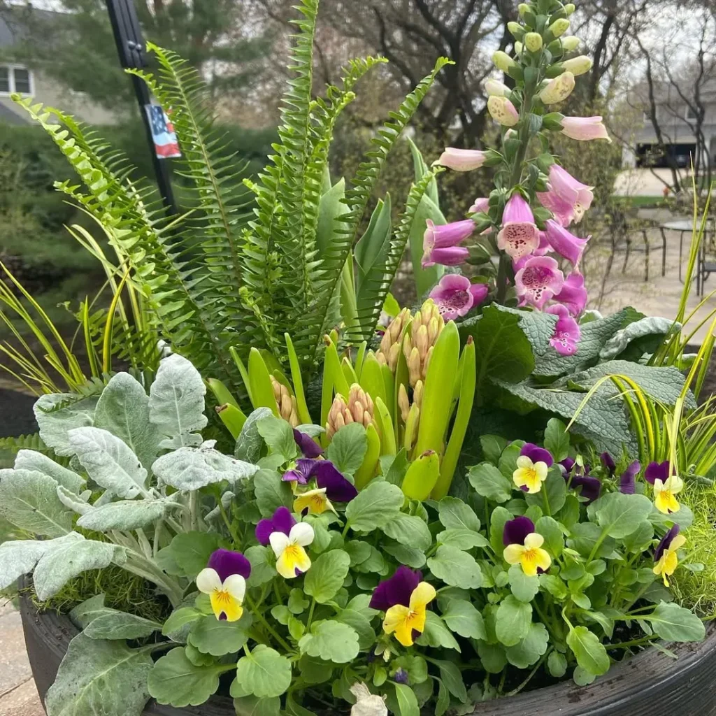 spring container garden