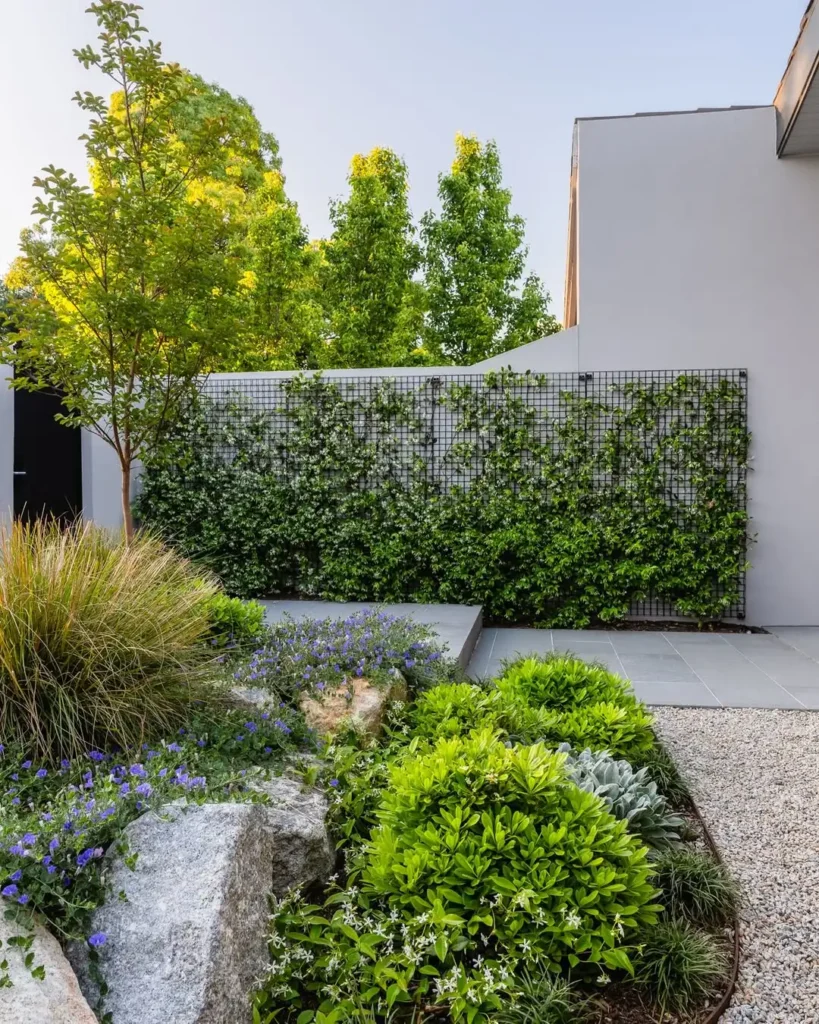 vertical garden backyard
