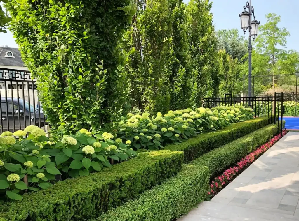 formal garden landscape