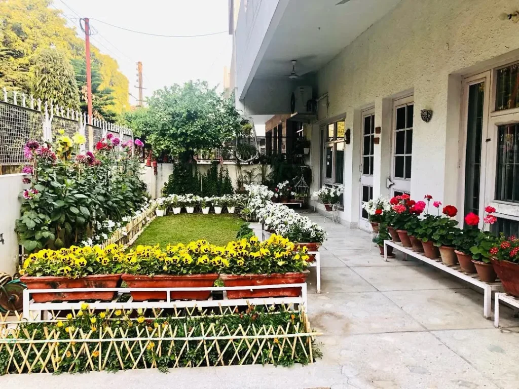 patio garden