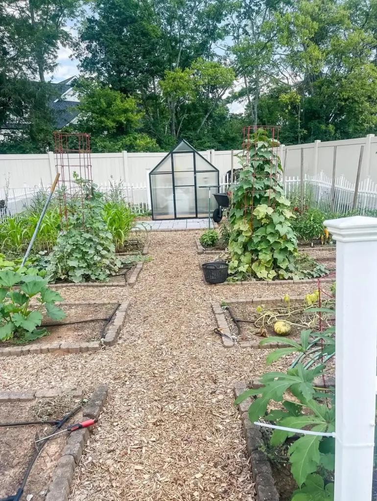 private backyard vegetable garden