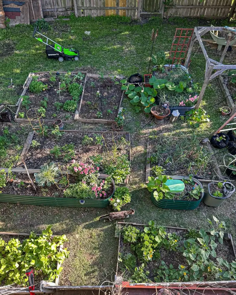 raised bed vegetable gardens