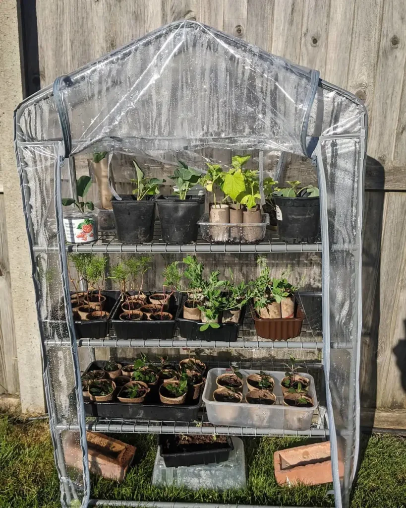 3 tier mini greenhouse