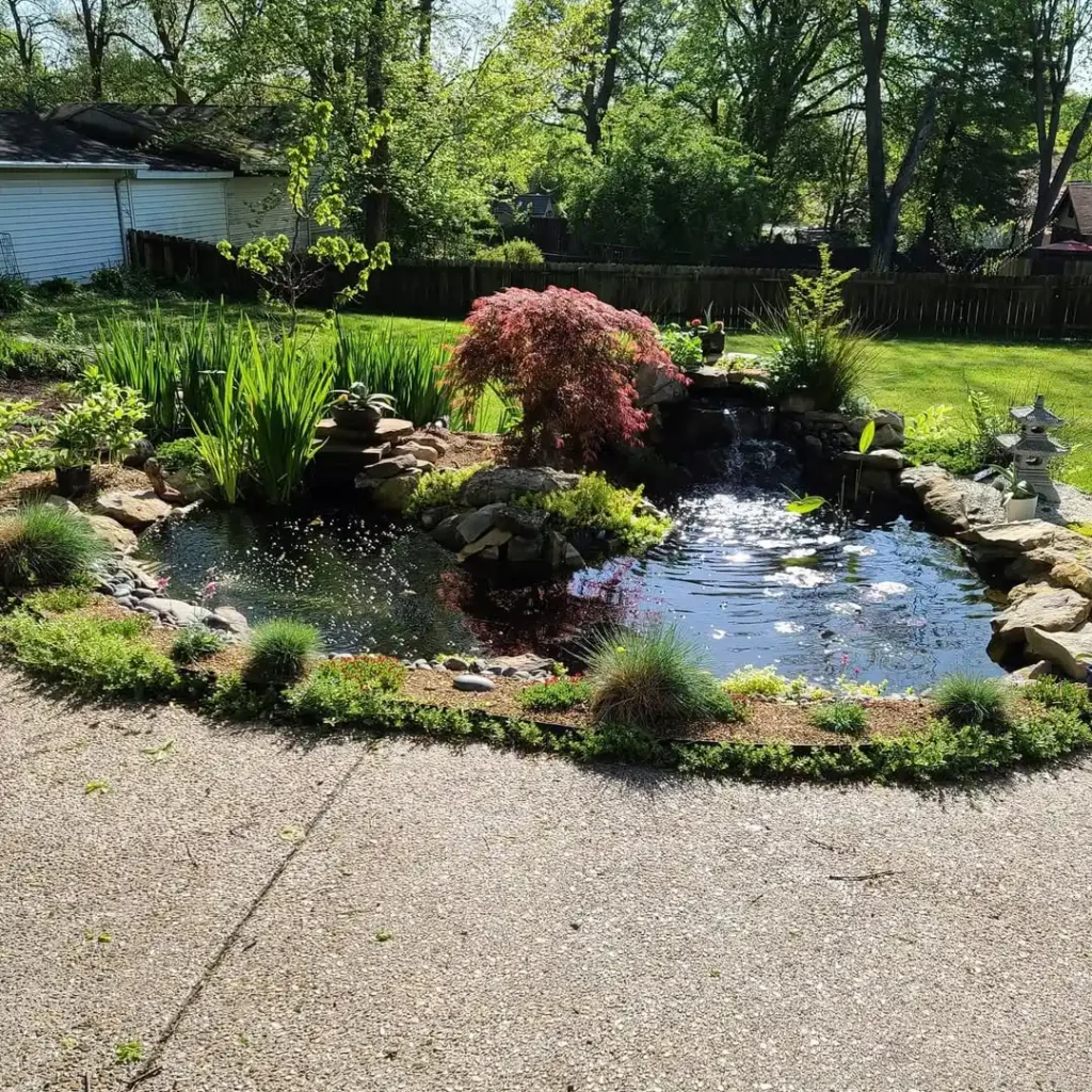 backyard zen garden