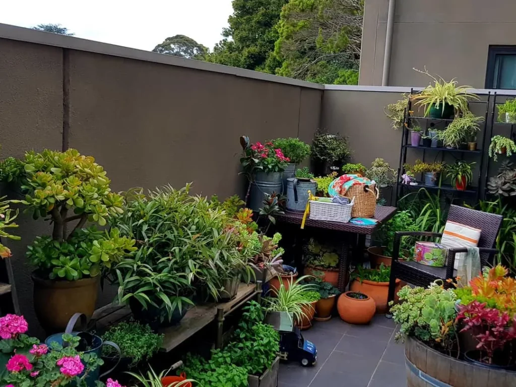 balcony container box garden