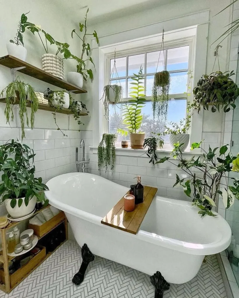 bathroom humidity garden