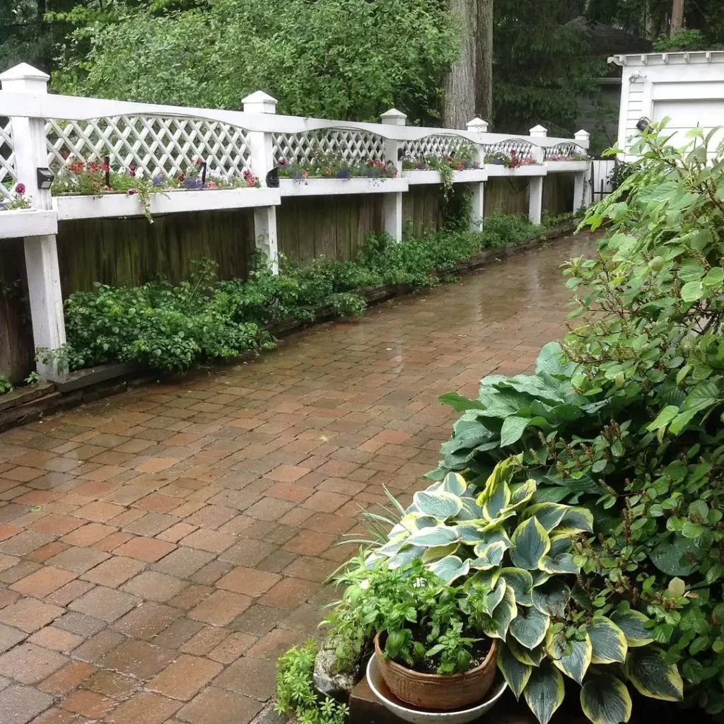 beautifully lush fence with plants ideas