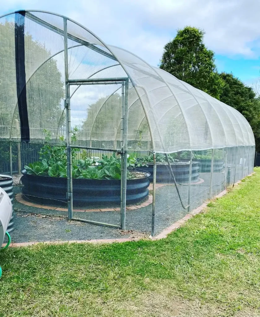 block vegetable planting design