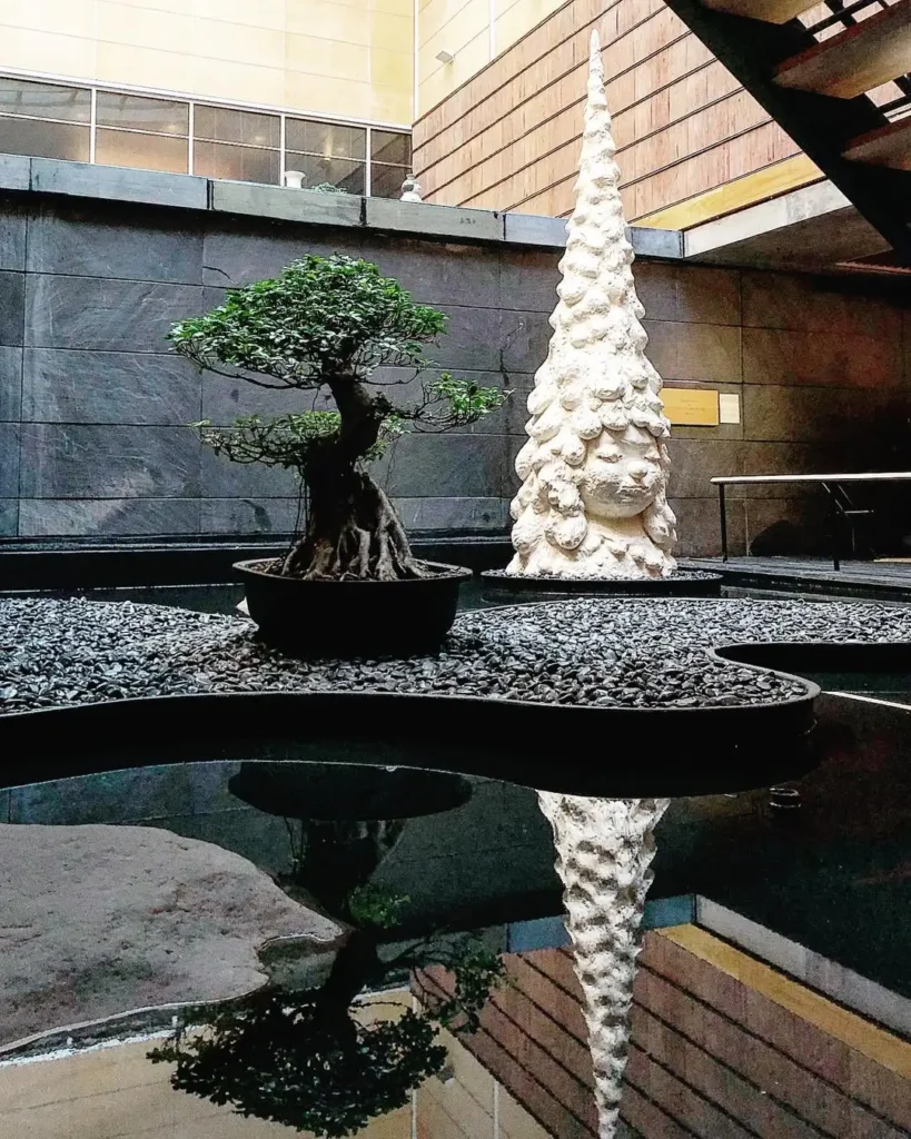 bonsai tree garden
